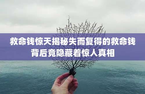 救命钱惊天揭秘失而复得的救命钱背后竟隐藏着惊人真相