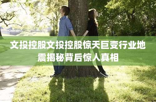 文投控股文投控股惊天巨变行业地震揭秘背后惊人真相