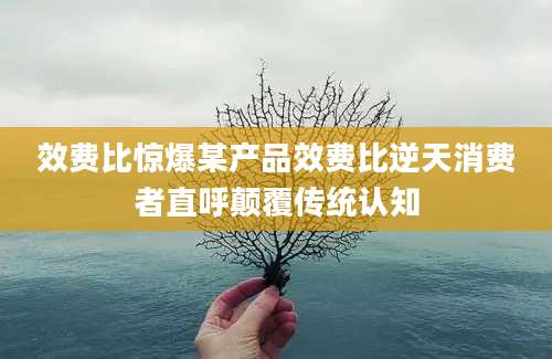 效费比惊爆某产品效费比逆天消费者直呼颠覆传统认知