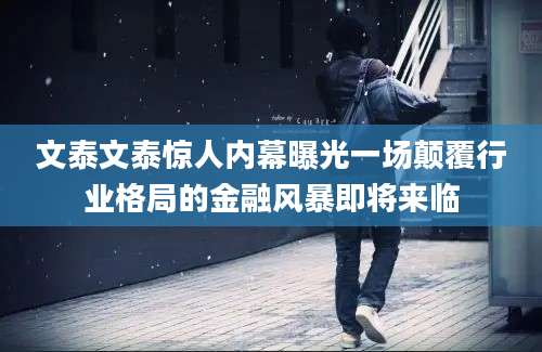 文泰文泰惊人内幕曝光一场颠覆行业格局的金融风暴即将来临