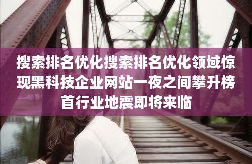 搜索排名优化搜索排名优化领域惊现黑科技企业网站一夜之间攀升榜首行业地震即将来临