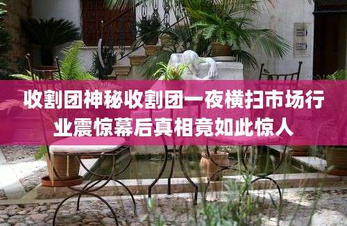 收割团神秘收割团一夜横扫市场行业震惊幕后真相竟如此惊人