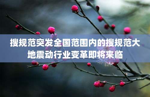 搜规范突发全国范围内的搜规范大地震动行业变革即将来临