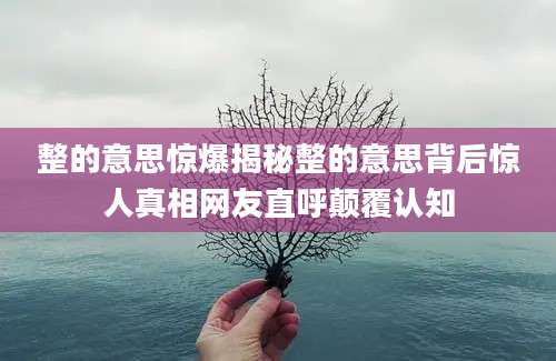 整的意思惊爆揭秘整的意思背后惊人真相网友直呼颠覆认知