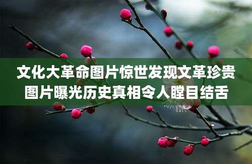 文化大革命图片惊世发现文革珍贵图片曝光历史真相令人瞠目结舌