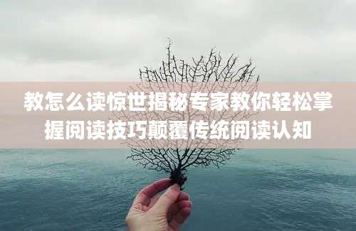 教怎么读惊世揭秘专家教你轻松掌握阅读技巧颠覆传统阅读认知