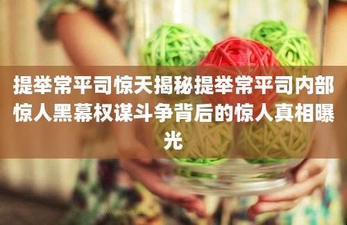 提举常平司惊天揭秘提举常平司内部惊人黑幕权谋斗争背后的惊人真相曝光