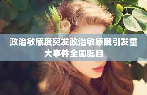 政治敏感度突发政治敏感度引发重大事件全国瞩目
