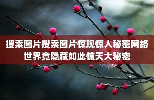 搜索图片搜索图片惊现惊人秘密网络世界竟隐藏如此惊天大秘密