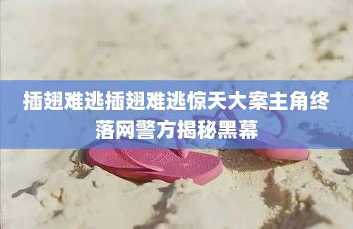 插翅难逃插翅难逃惊天大案主角终落网警方揭秘黑幕