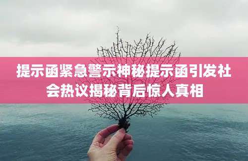 提示函紧急警示神秘提示函引发社会热议揭秘背后惊人真相