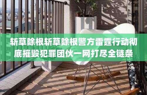 斩草除根斩草除根警方雷霆行动彻底摧毁犯罪团伙一网打尽全链条