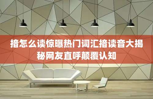 揞怎么读惊曝热门词汇揞读音大揭秘网友直呼颠覆认知
