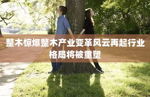 整木惊爆整木产业变革风云再起行业格局将被重塑