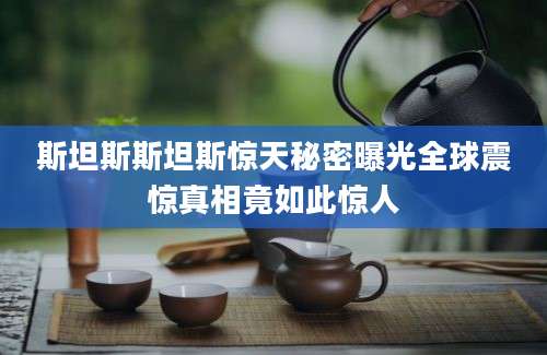 斯坦斯斯坦斯惊天秘密曝光全球震惊真相竟如此惊人