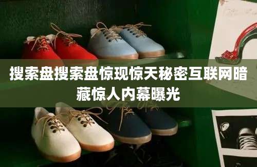 搜索盘搜索盘惊现惊天秘密互联网暗藏惊人内幕曝光
