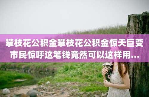 攀枝花公积金攀枝花公积金惊天巨变市民惊呼这笔钱竟然可以这样用...