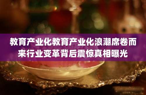 教育产业化教育产业化浪潮席卷而来行业变革背后震惊真相曝光