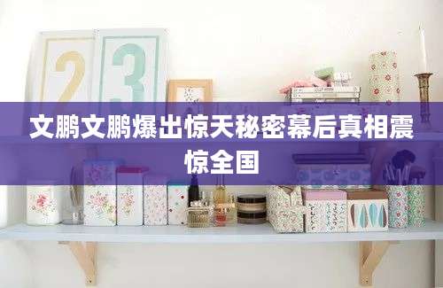 文鹏文鹏爆出惊天秘密幕后真相震惊全国