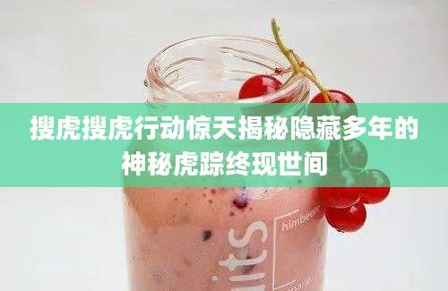 搜虎搜虎行动惊天揭秘隐藏多年的神秘虎踪终现世间