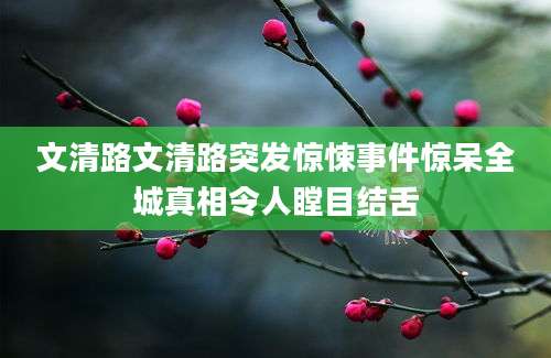 文清路文清路突发惊悚事件惊呆全城真相令人瞠目结舌