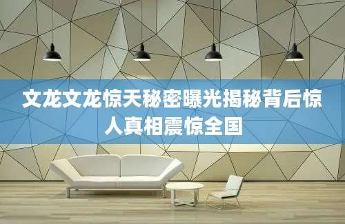 文龙文龙惊天秘密曝光揭秘背后惊人真相震惊全国