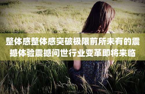 整体感整体感突破极限前所未有的震撼体验震撼问世行业变革即将来临