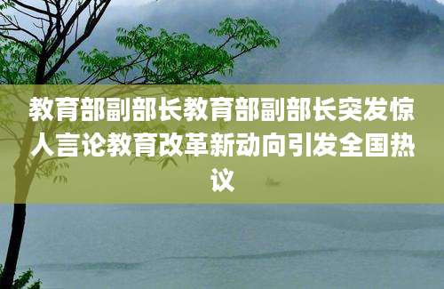 教育部副部长教育部副部长突发惊人言论教育改革新动向引发全国热议