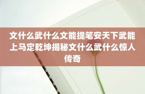 文什么武什么文能提笔安天下武能上马定乾坤揭秘文什么武什么惊人传奇