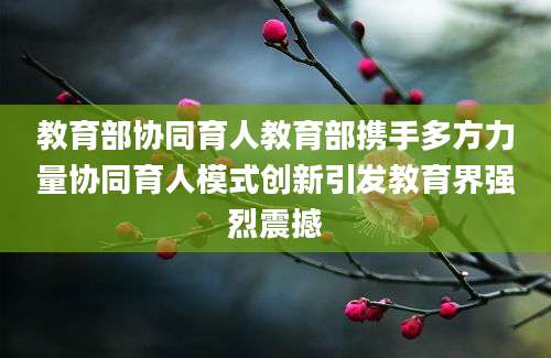 教育部协同育人教育部携手多方力量协同育人模式创新引发教育界强烈震撼