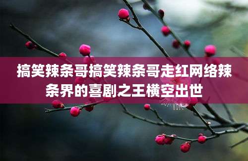 搞笑辣条哥搞笑辣条哥走红网络辣条界的喜剧之王横空出世