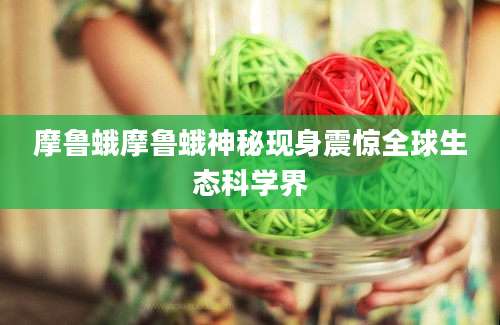 摩鲁蛾摩鲁蛾神秘现身震惊全球生态科学界