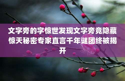 文字旁的字惊世发现文字旁竟隐藏惊天秘密专家直言千年谜团终被揭开