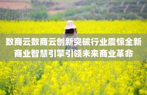 数商云数商云创新突破行业震惊全新商业智慧引擎引领未来商业革命
