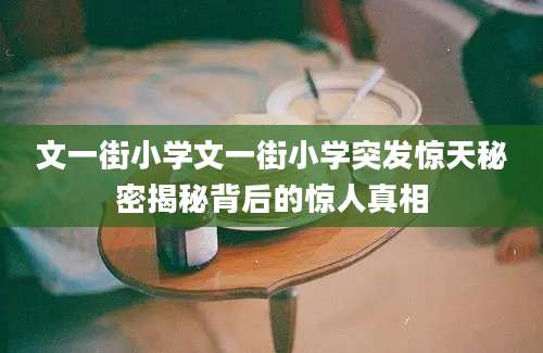 文一街小学文一街小学突发惊天秘密揭秘背后的惊人真相