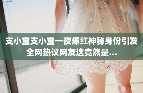 支小宝支小宝一夜爆红神秘身份引发全网热议网友这竟然是...