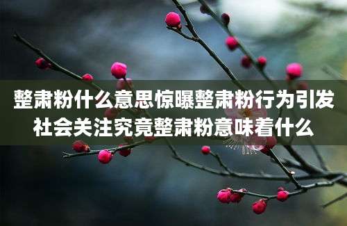 整肃粉什么意思惊曝整肃粉行为引发社会关注究竟整肃粉意味着什么