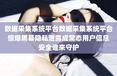 数据采集系统平台数据采集系统平台惊爆黑幕隐私泄露成常态用户信息安全谁来守护