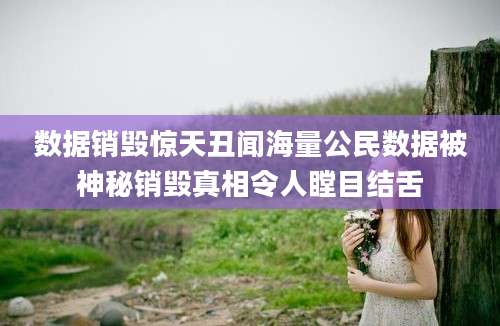 数据销毁惊天丑闻海量公民数据被神秘销毁真相令人瞠目结舌
