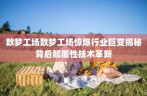 数梦工场数梦工场惊爆行业巨变揭秘背后颠覆性技术革新