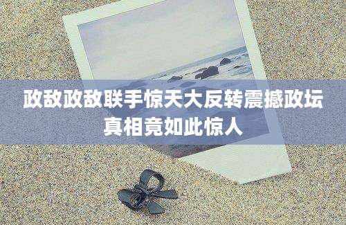 政敌政敌联手惊天大反转震撼政坛真相竟如此惊人
