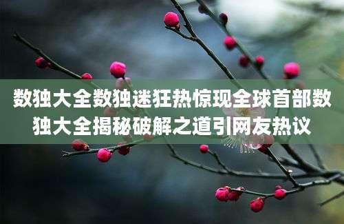 数独大全数独迷狂热惊现全球首部数独大全揭秘破解之道引网友热议