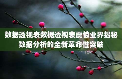 数据透视表数据透视表震惊业界揭秘数据分析的全新革命性突破