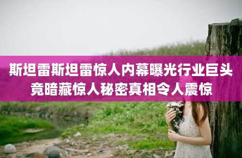 斯坦雷斯坦雷惊人内幕曝光行业巨头竟暗藏惊人秘密真相令人震惊