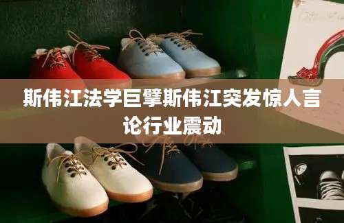 斯伟江法学巨擘斯伟江突发惊人言论行业震动