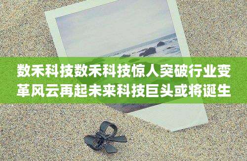 数禾科技数禾科技惊人突破行业变革风云再起未来科技巨头或将诞生