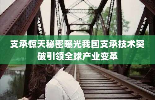 支承惊天秘密曝光我国支承技术突破引领全球产业变革