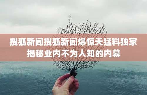搜狐新闻搜狐新闻爆惊天猛料独家揭秘业内不为人知的内幕