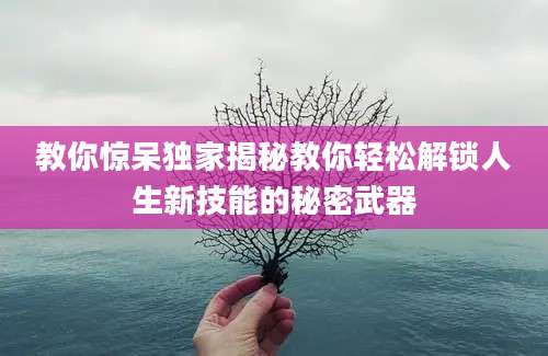 教你惊呆独家揭秘教你轻松解锁人生新技能的秘密武器
