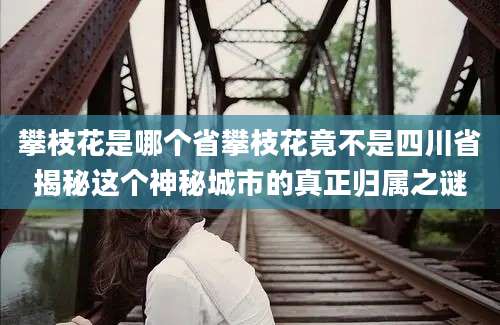 攀枝花是哪个省攀枝花竟不是四川省揭秘这个神秘城市的真正归属之谜